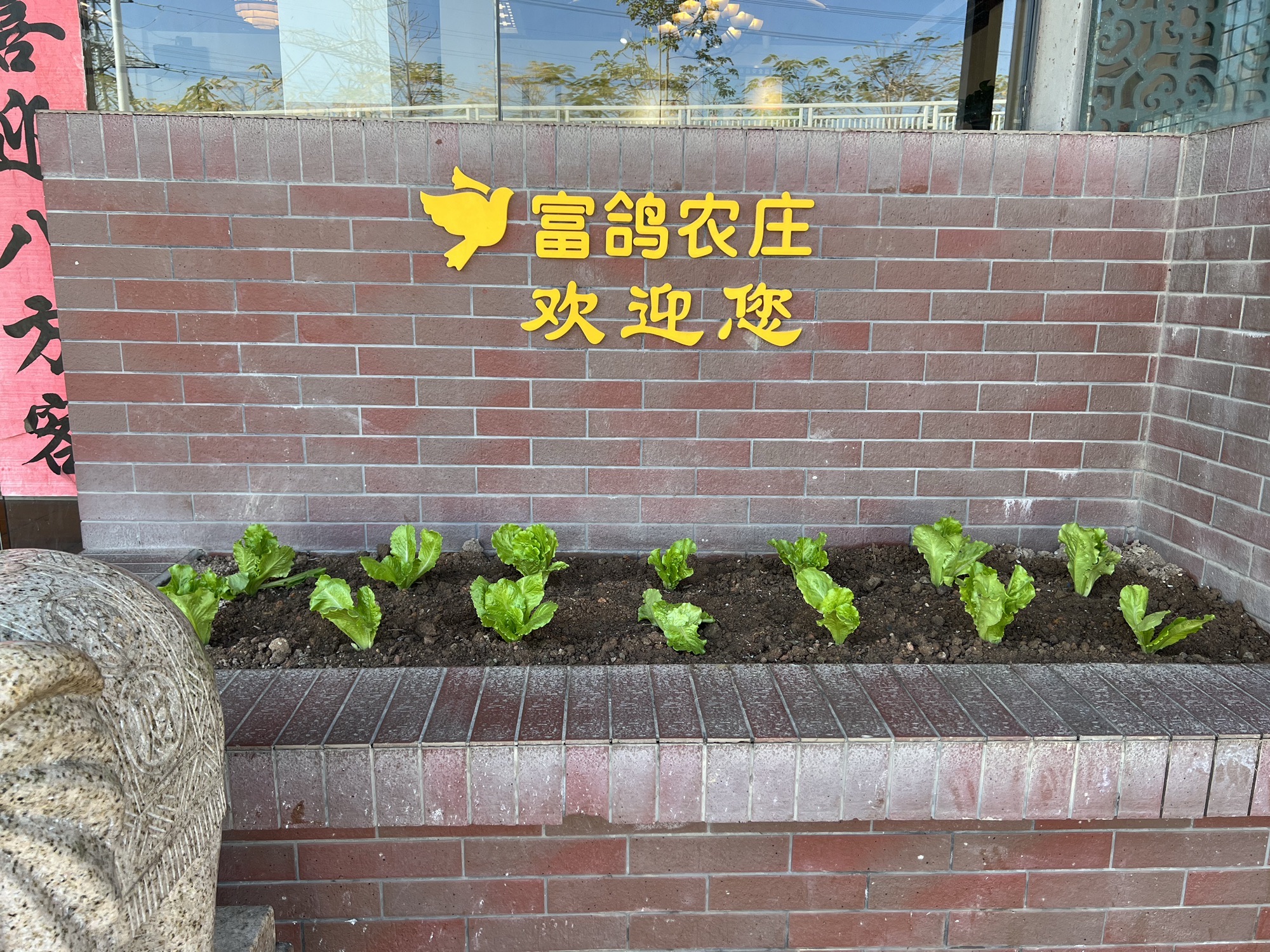 富鸽农庄(中新店)