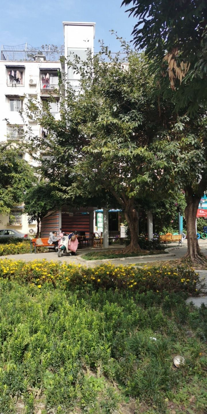 场地封面-冬冬棋牌室