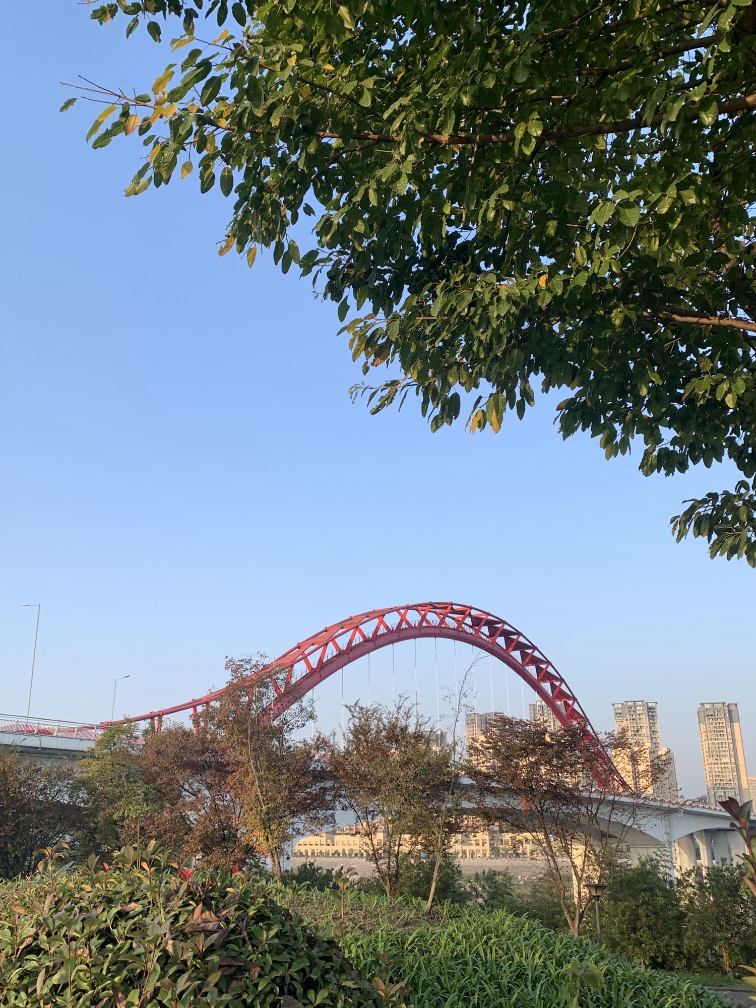 赵家渡水生态公园旅行图片 1