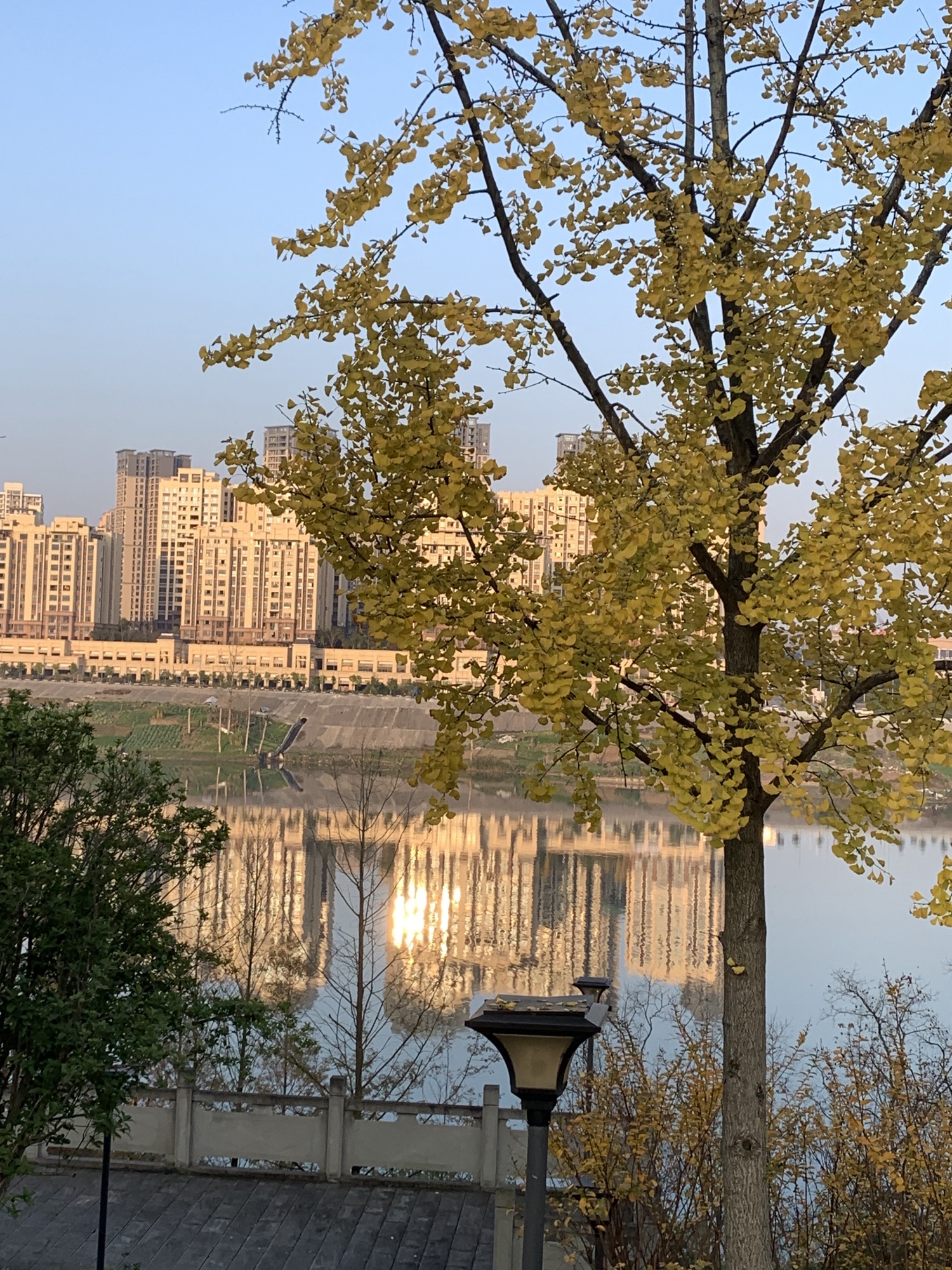 赵家渡水生态公园旅行图片 3