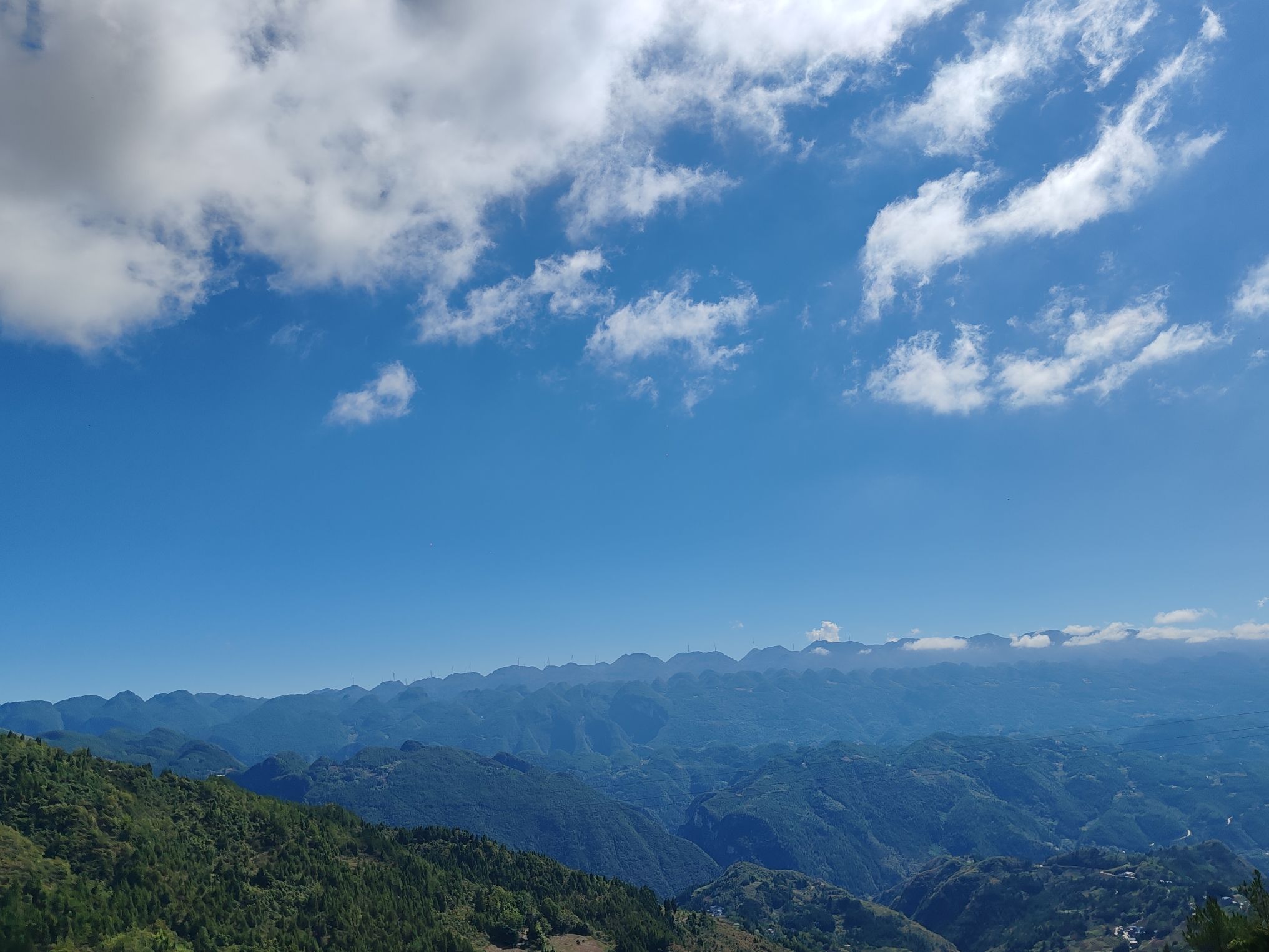 赵家渡水生态公园旅行图片 3
