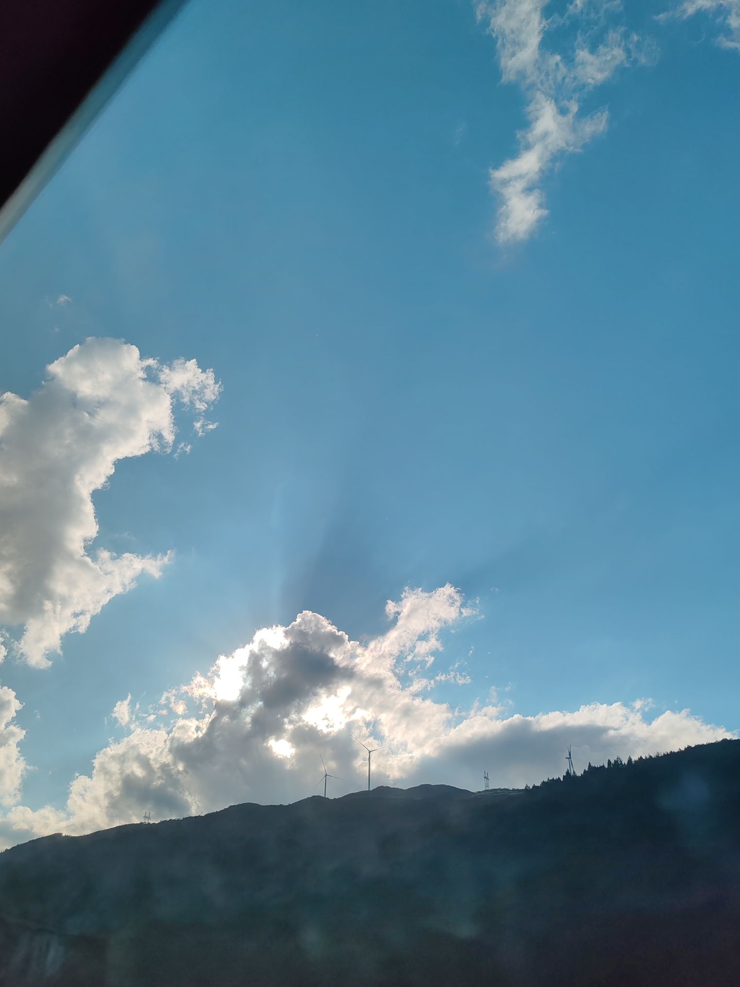 赵家渡水生态公园旅行图片 1