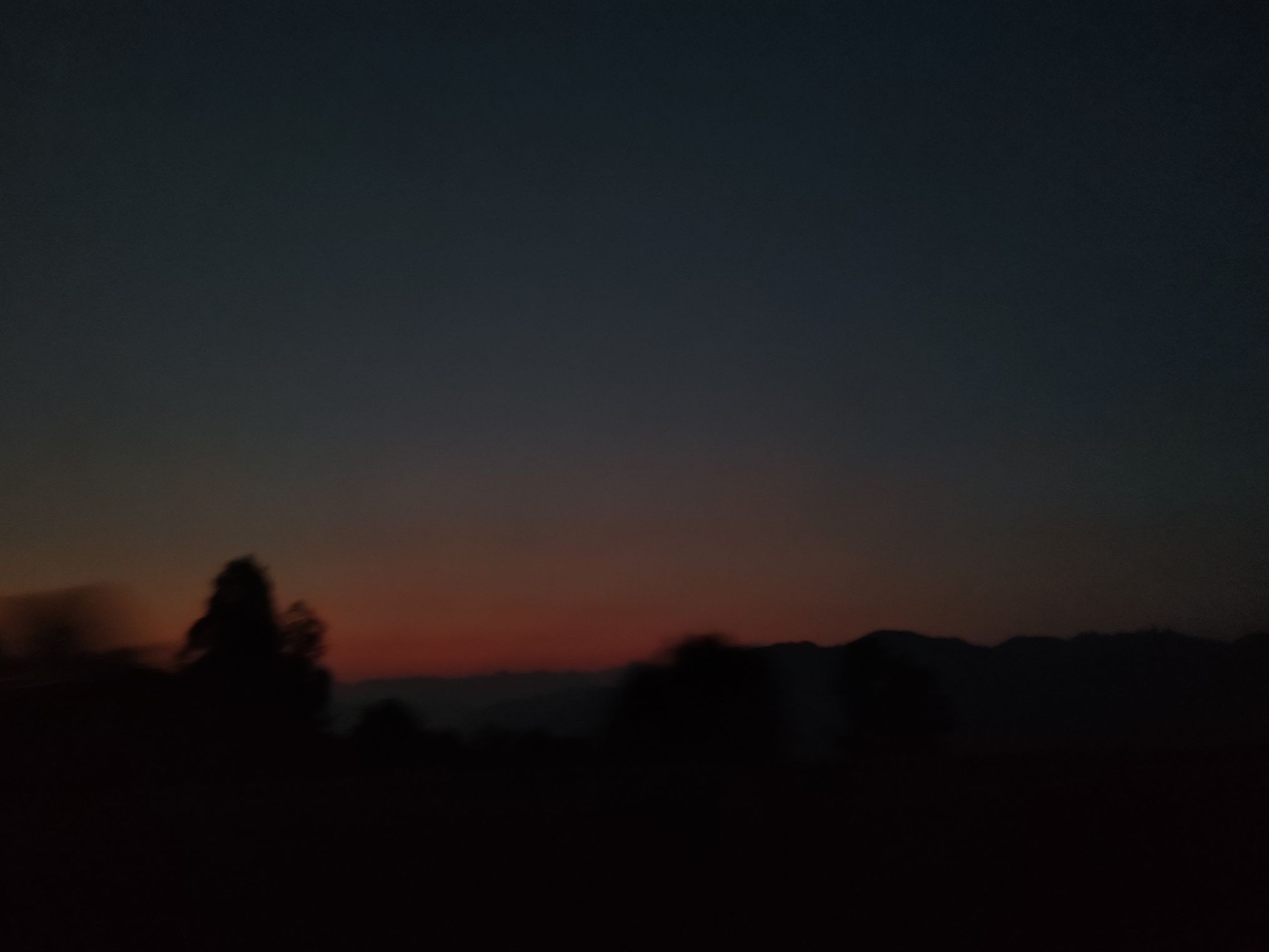 赵家渡水生态公园旅行图片 2