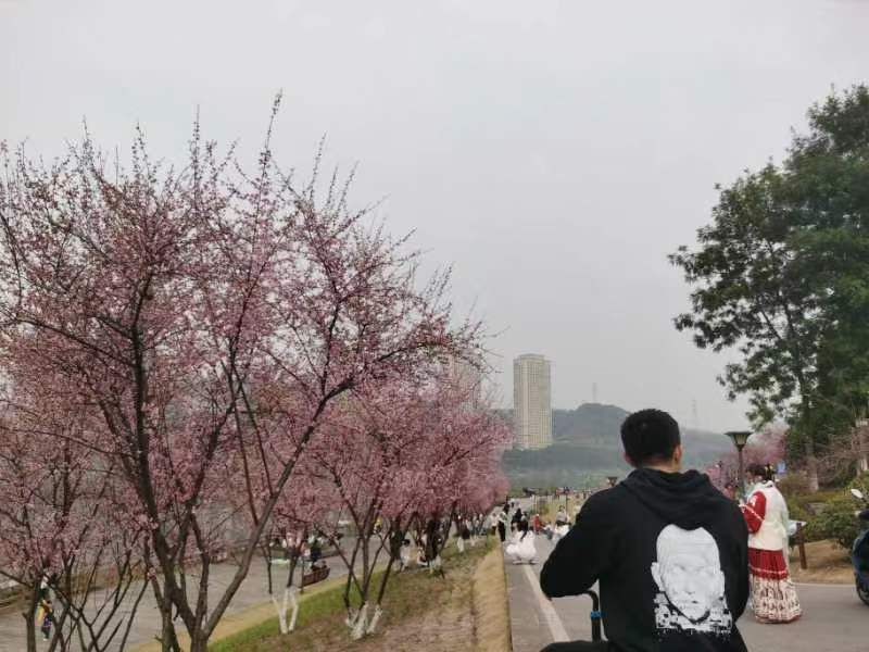 赵家渡水生态公园旅行图片 3