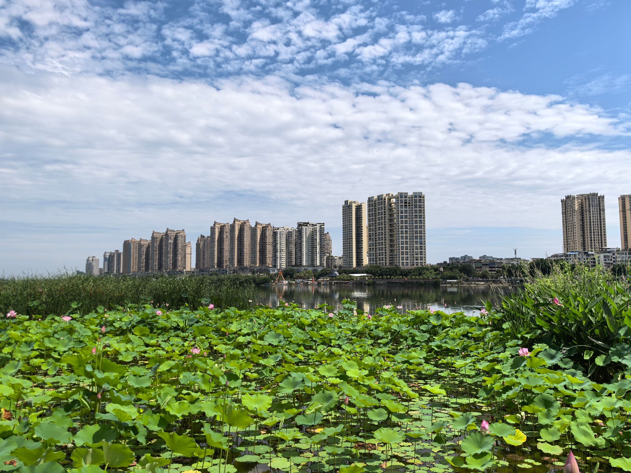 圣莲岛景区旅行图片 3