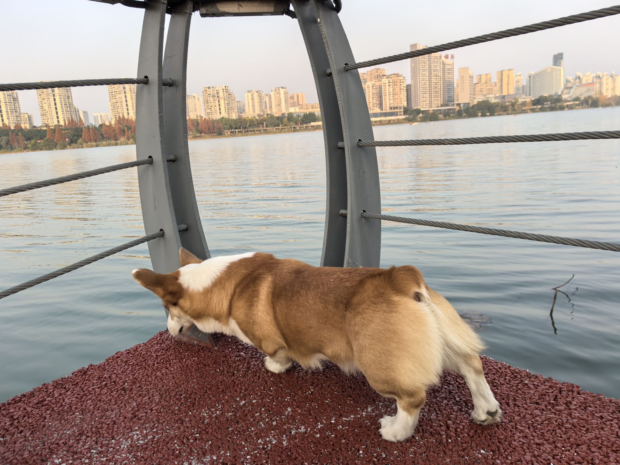 圣莲岛景区旅行图片 3