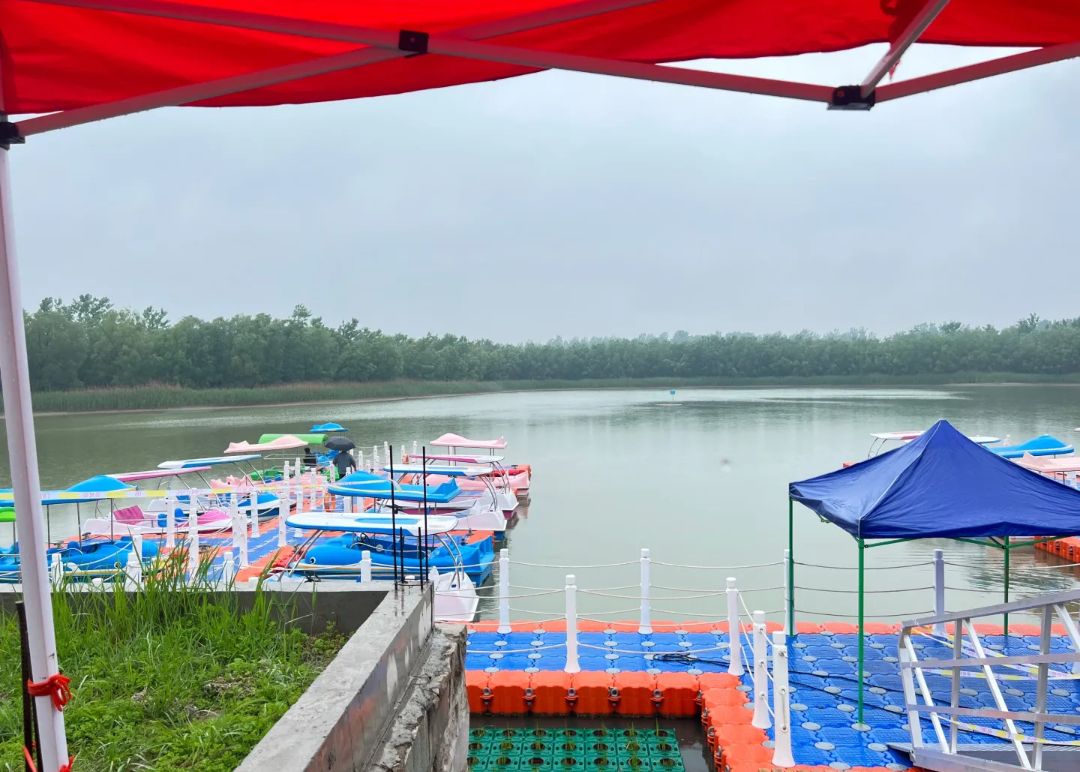 东明黄河森林公园旅行图片 3