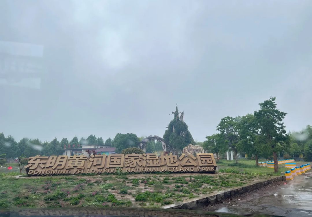 东明黄河森林公园旅行图片 2