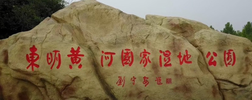东明黄河森林公园旅行图片 3