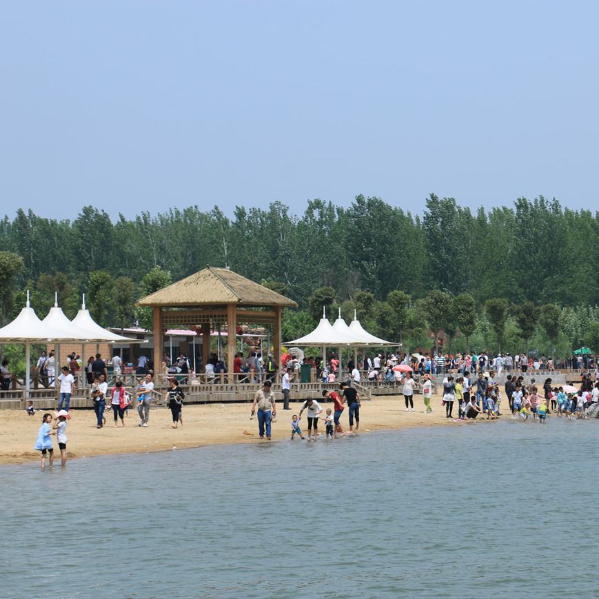 东明黄河森林公园旅行图片 1