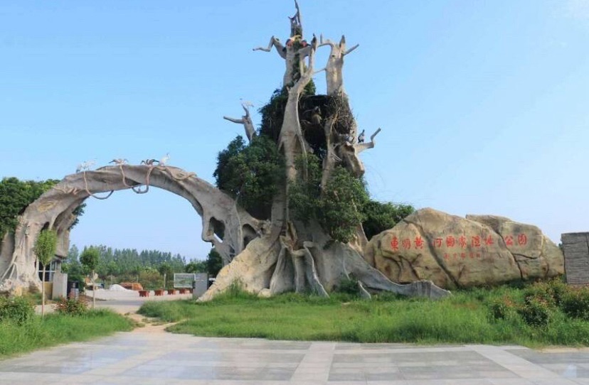 东明黄河森林公园旅行图片 1