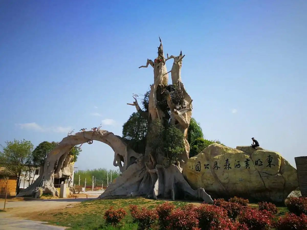 东明黄河森林公园旅行图片 3