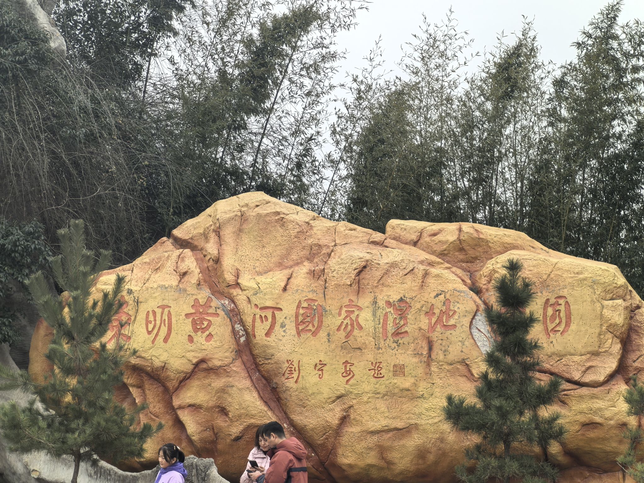东明黄河森林公园旅行图片 1