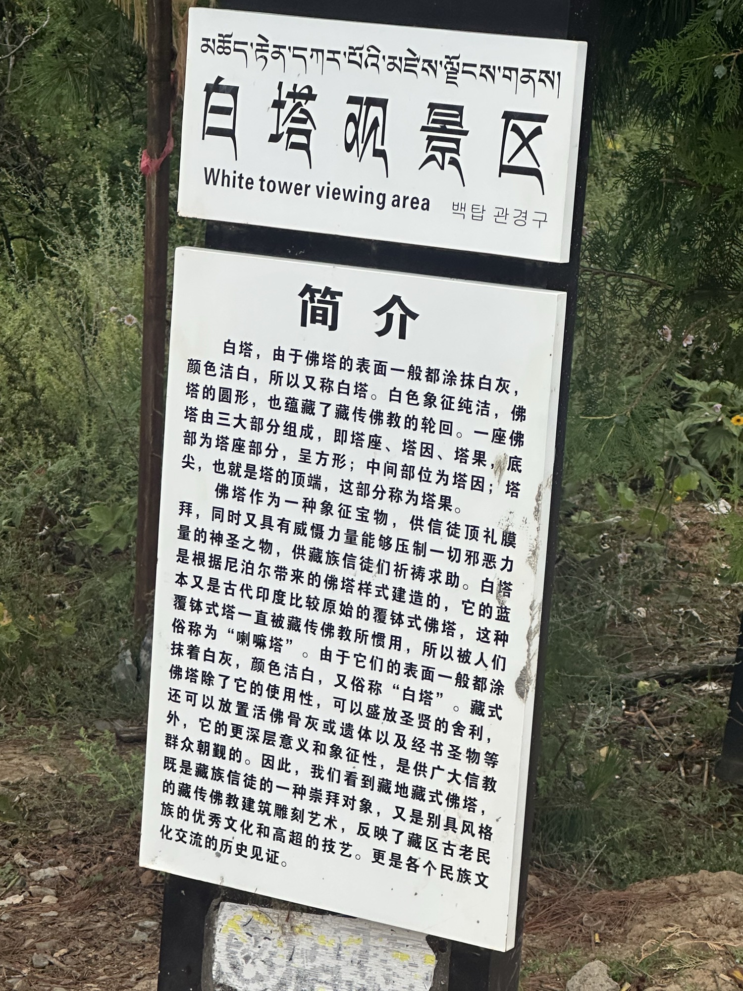 白塔观景台