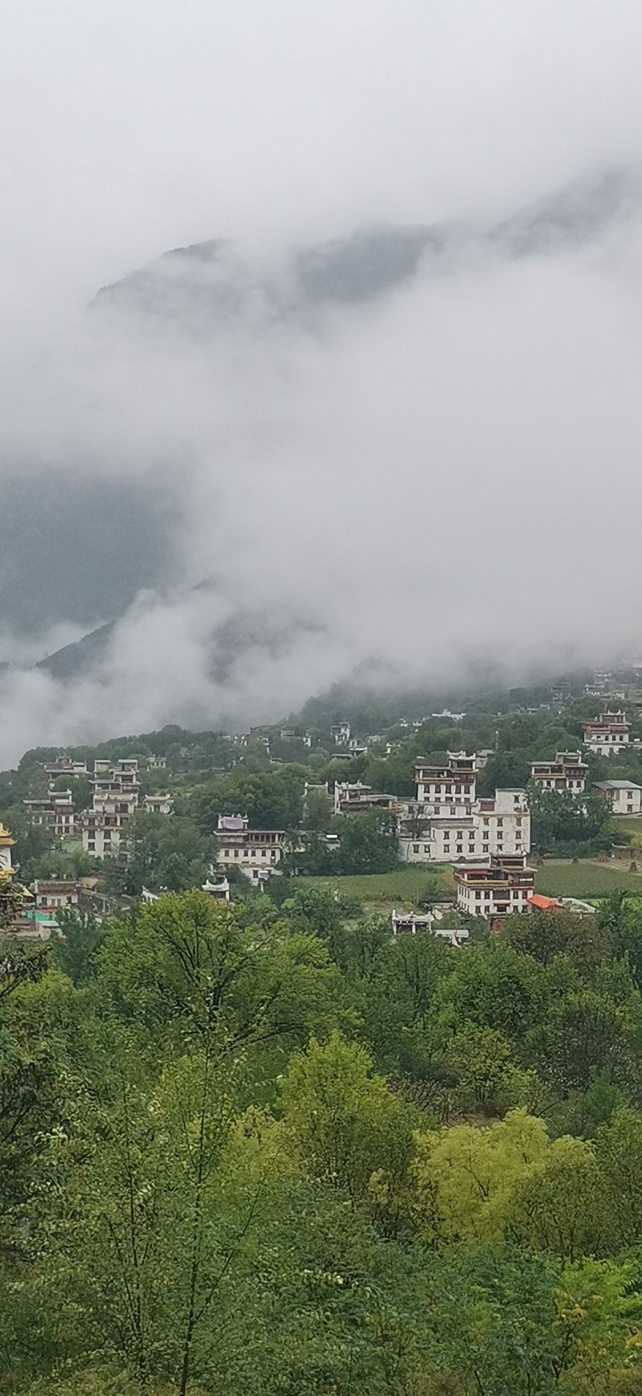 白塔观景台旅行图片 1