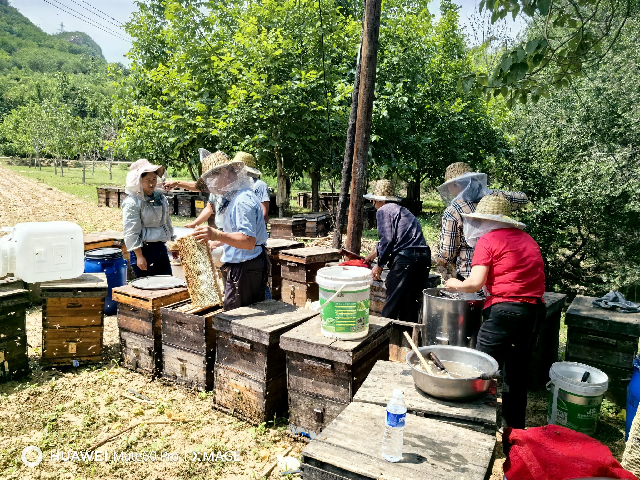 无极山旅行图片 2