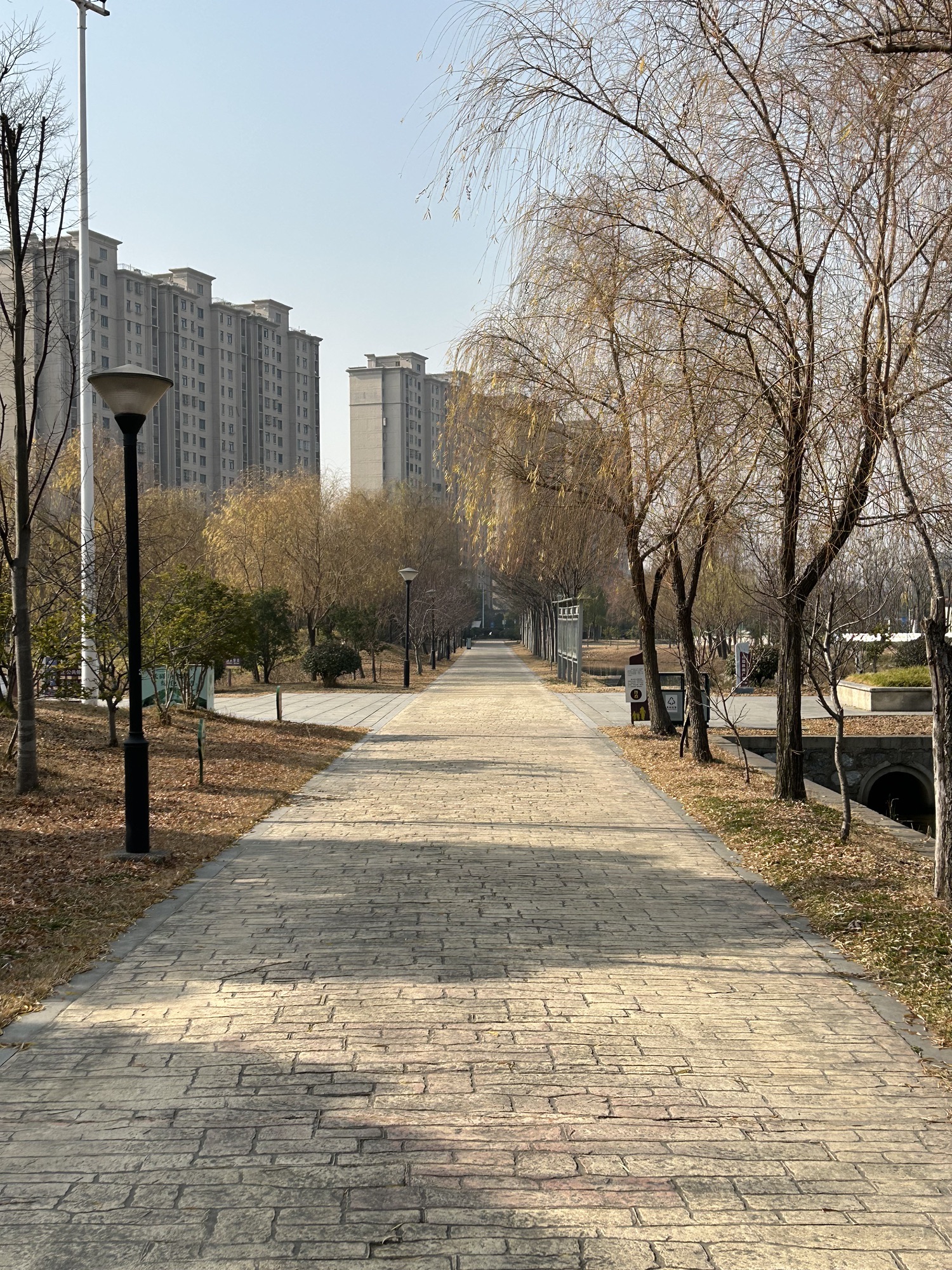 仪征五一公园旅行图片 3