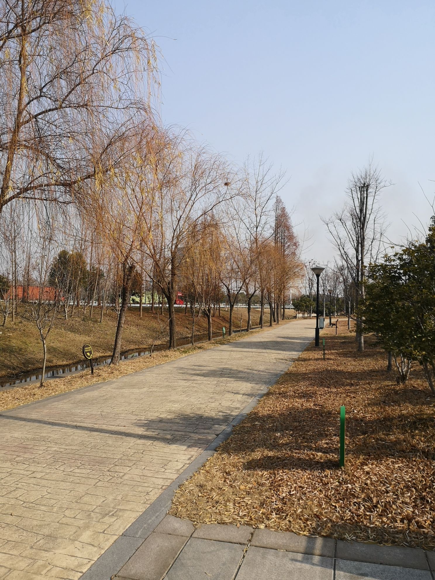 仪征五一公园旅行图片 3