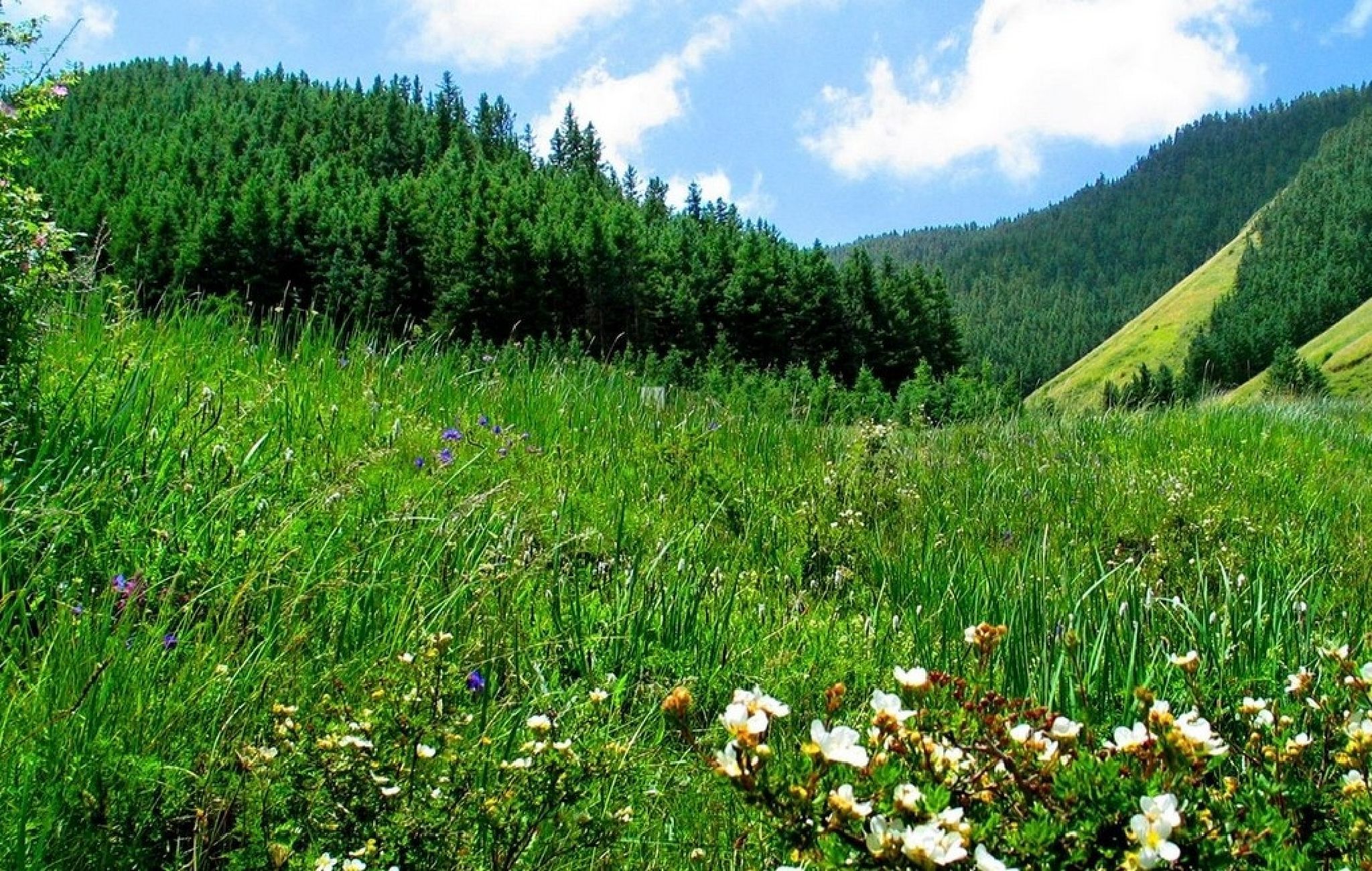 寿鹿山自然保护区