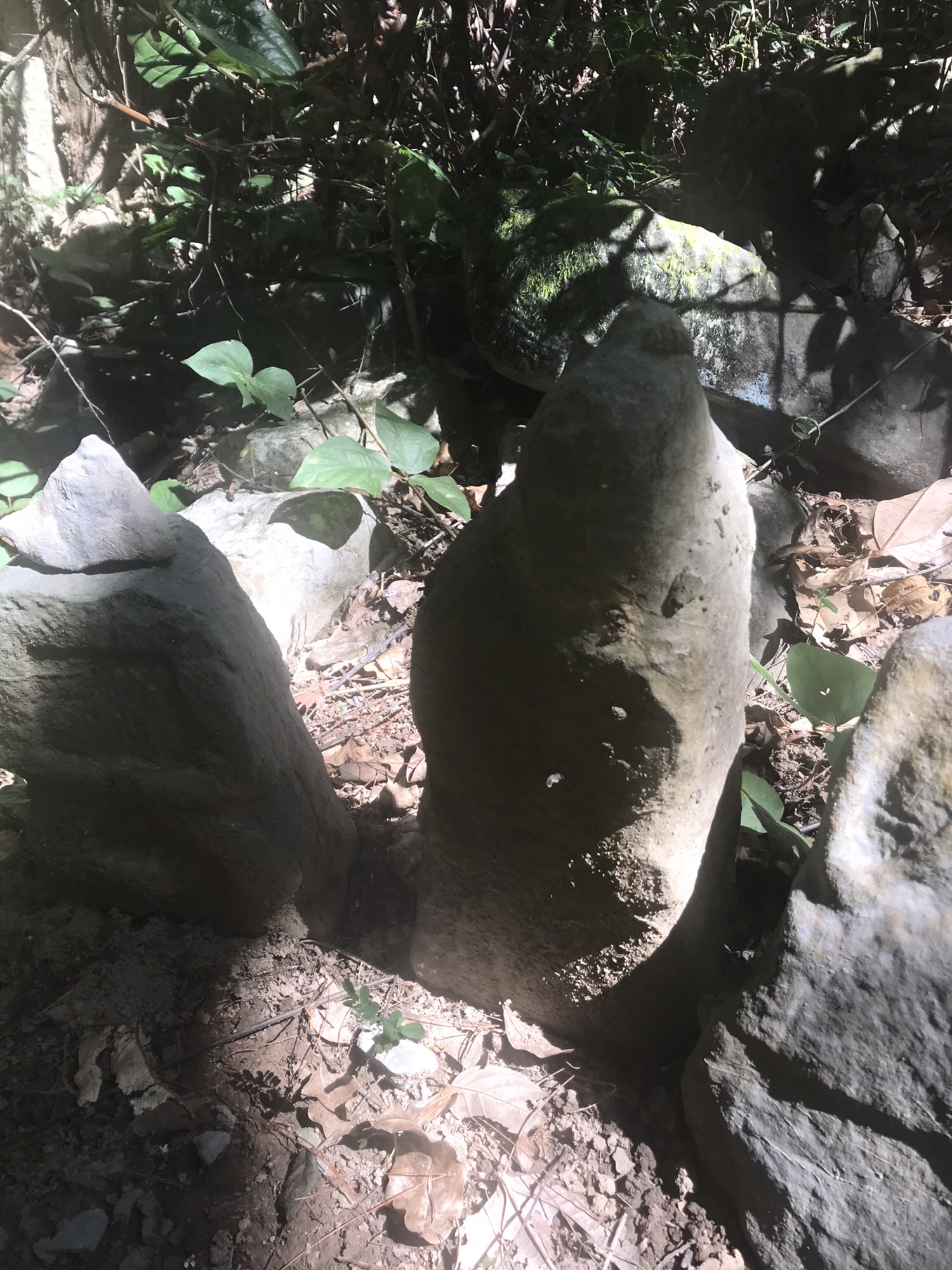 鬼崽岭祭祀遗址旅行图片 2