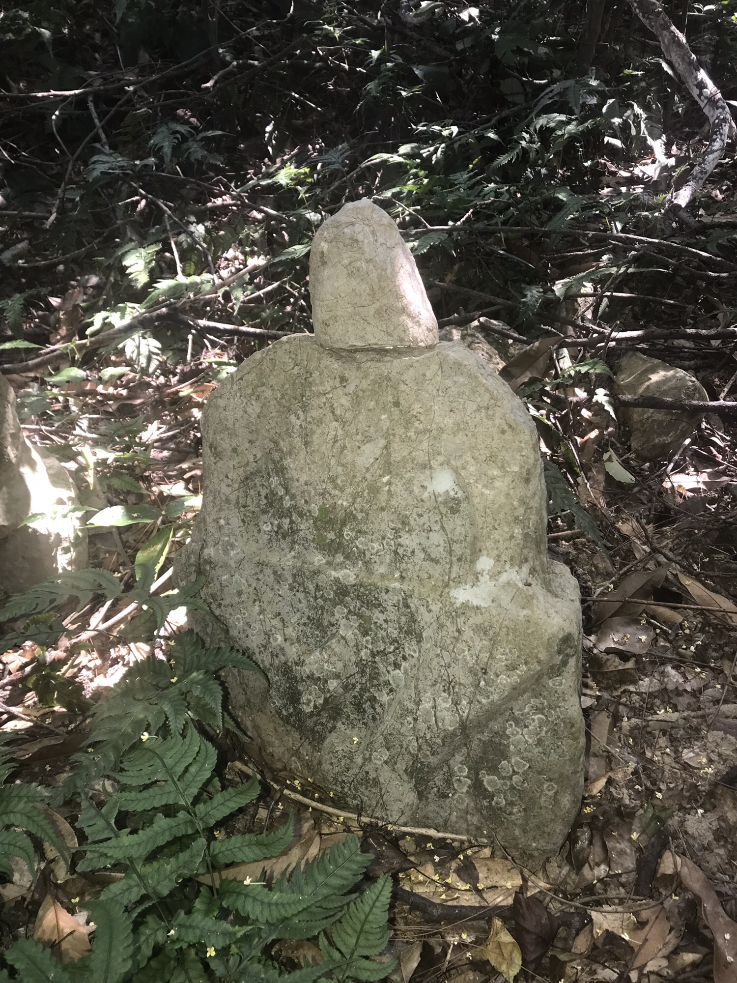 鬼崽岭祭祀遗址旅行图片 1