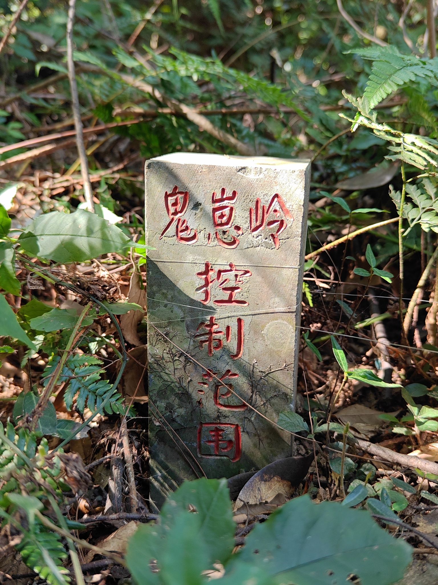 鬼崽岭祭祀遗址旅行图片 1