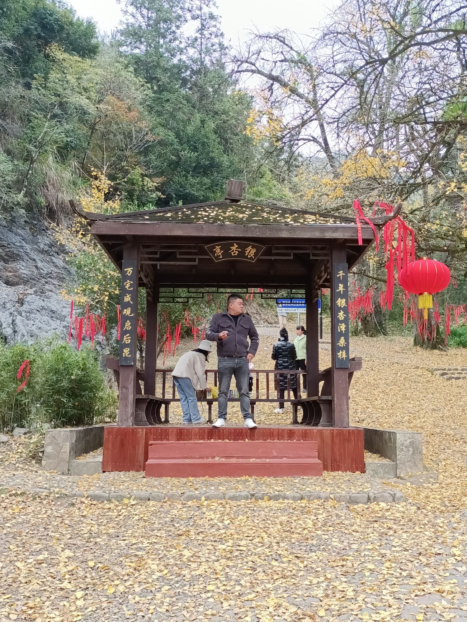 银杏公园旅行图片 1