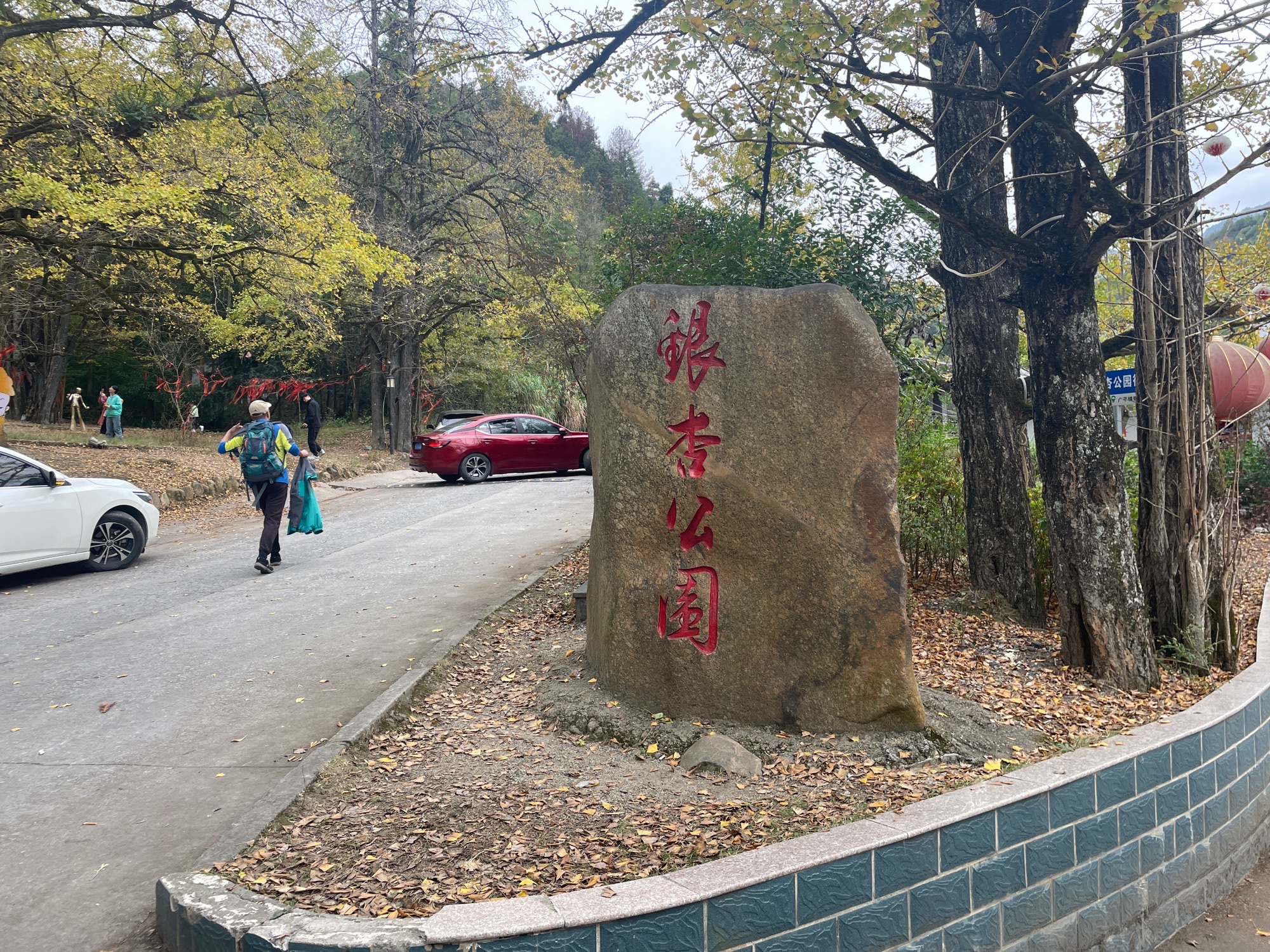 银杏公园旅行图片 2