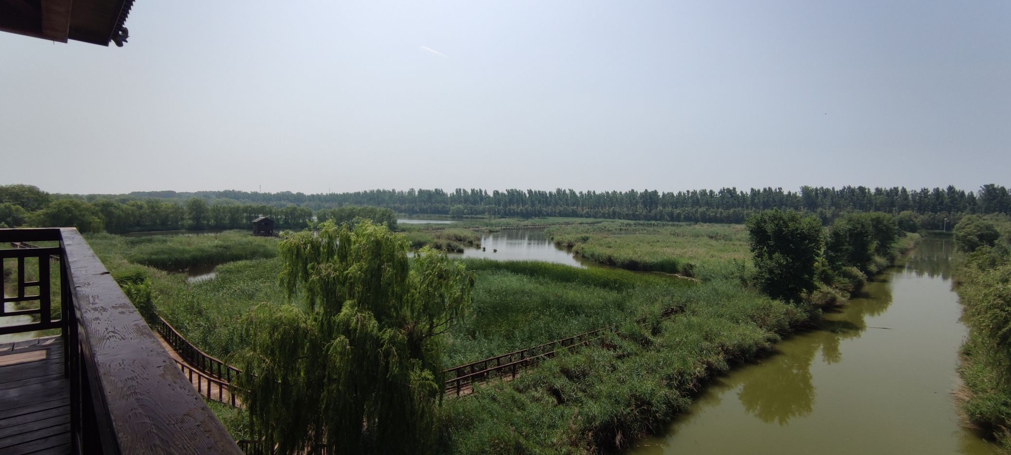 陈桥湿地风景区旅行图片 3