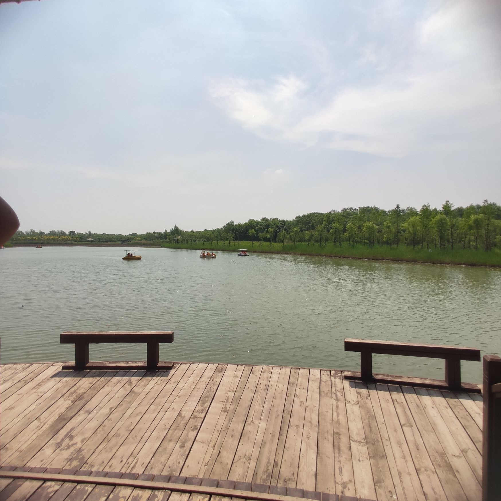陈桥湿地风景区旅行图片 3