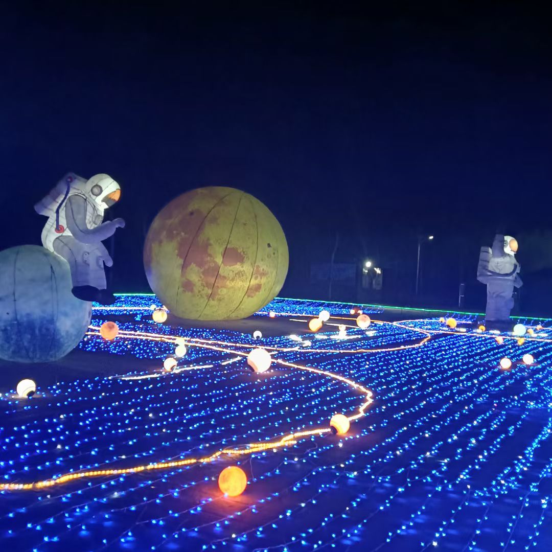 陈桥湿地风景区旅行图片 1