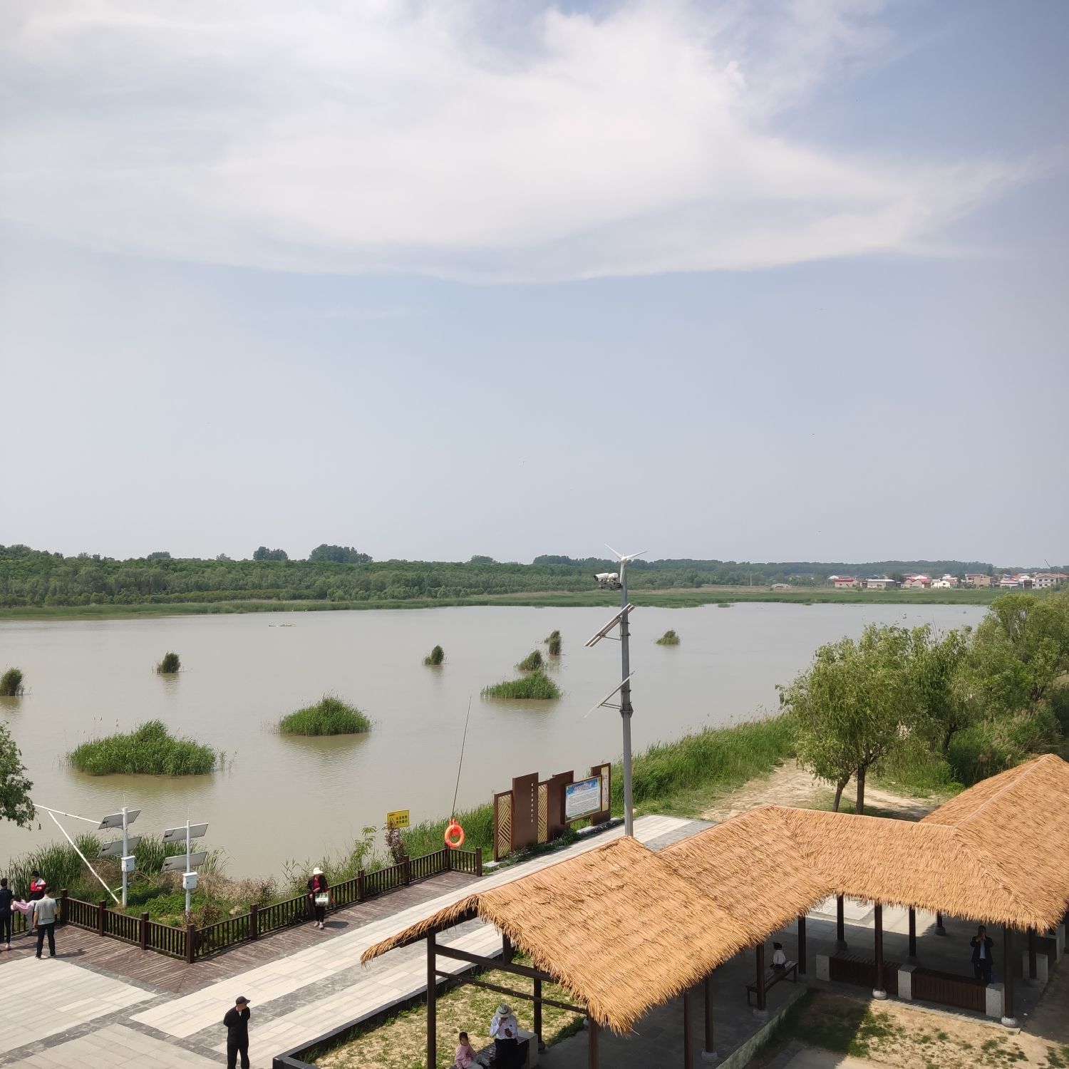 陈桥湿地风景区旅行图片 2