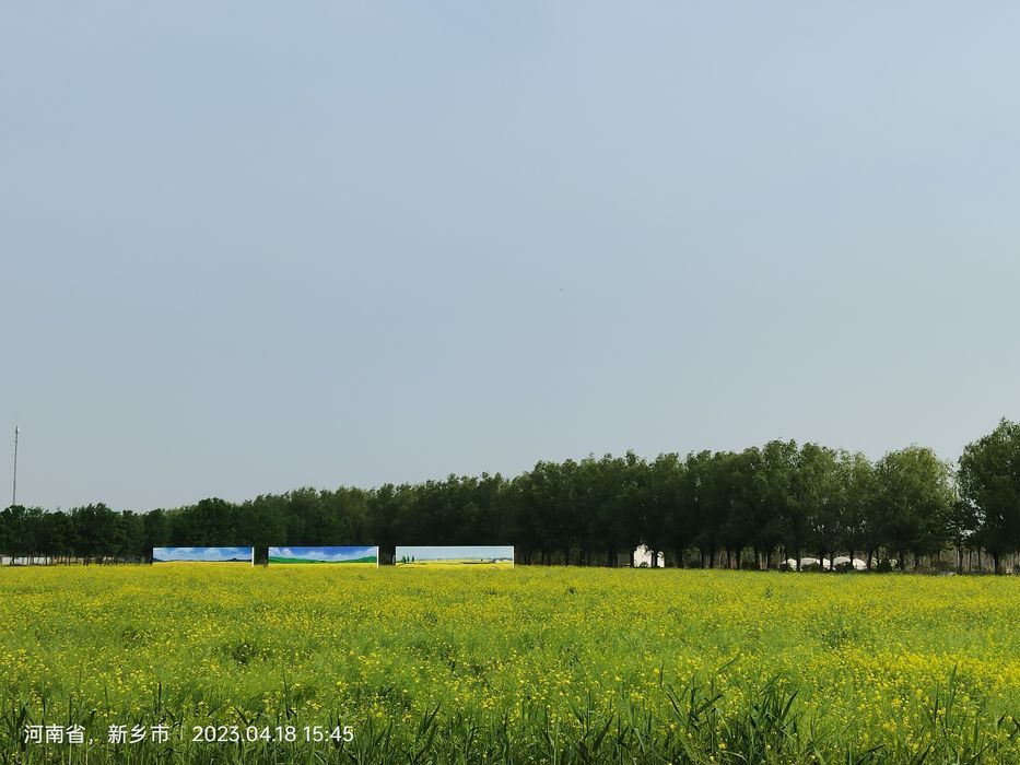 陈桥湿地风景区旅行图片 1