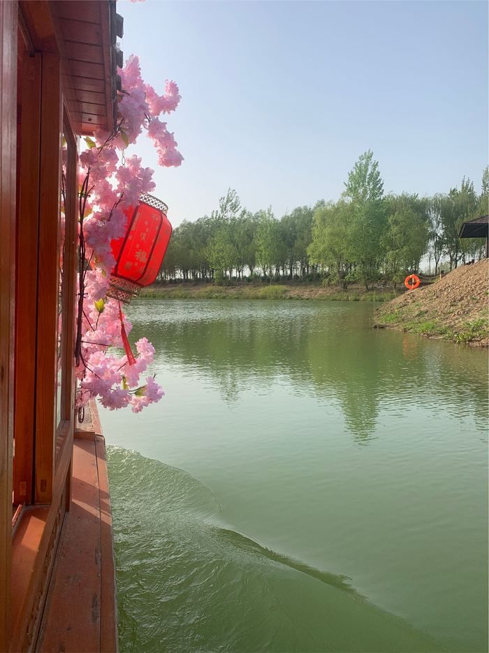 陈桥湿地风景区旅行图片 3
