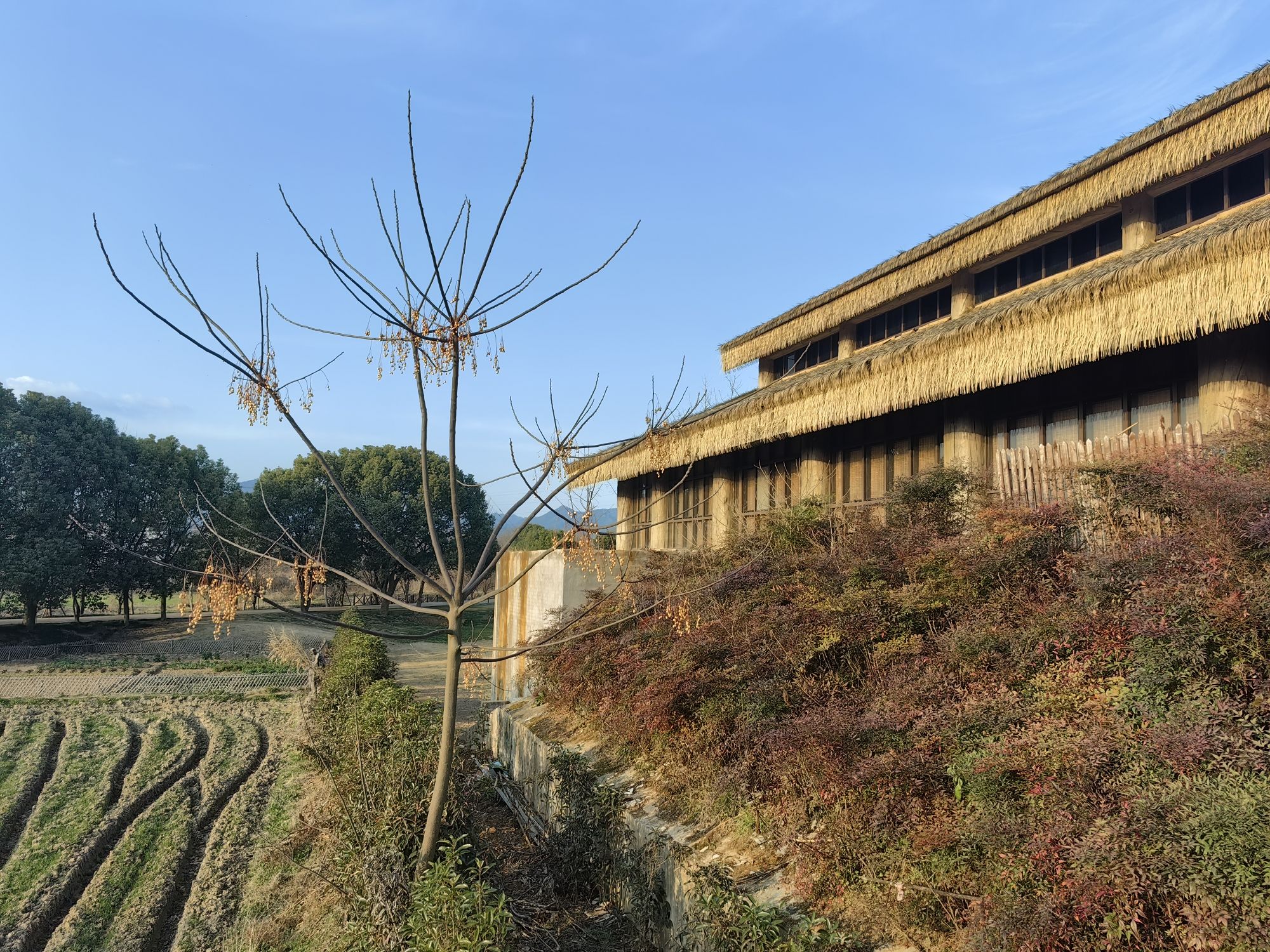 上山国家考古遗址公园旅行图片 2