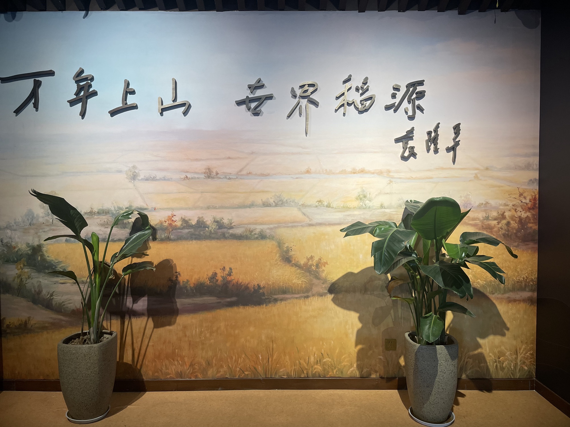 上山国家考古遗址公园旅行图片 3