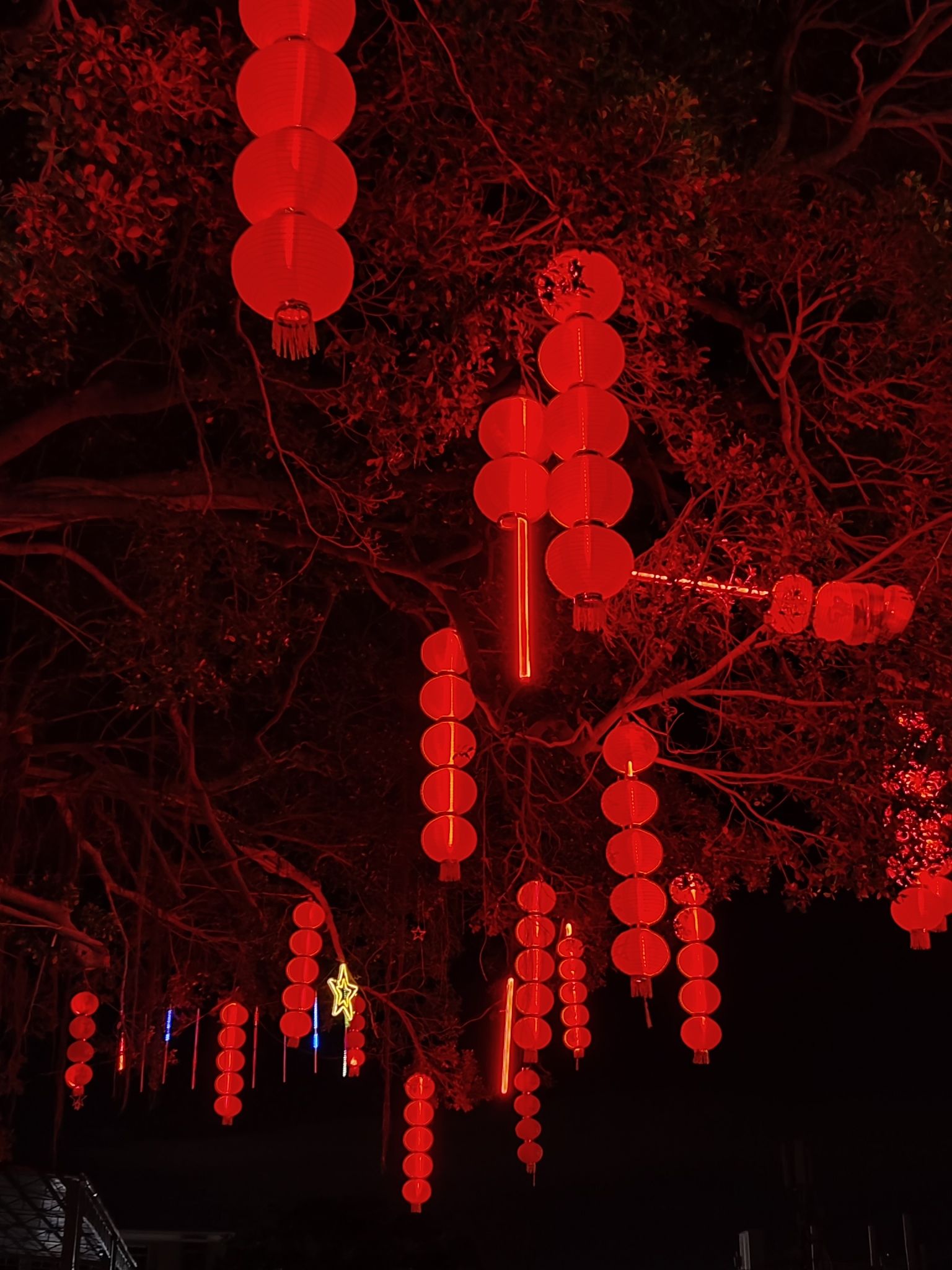 西林公园旅行图片 3