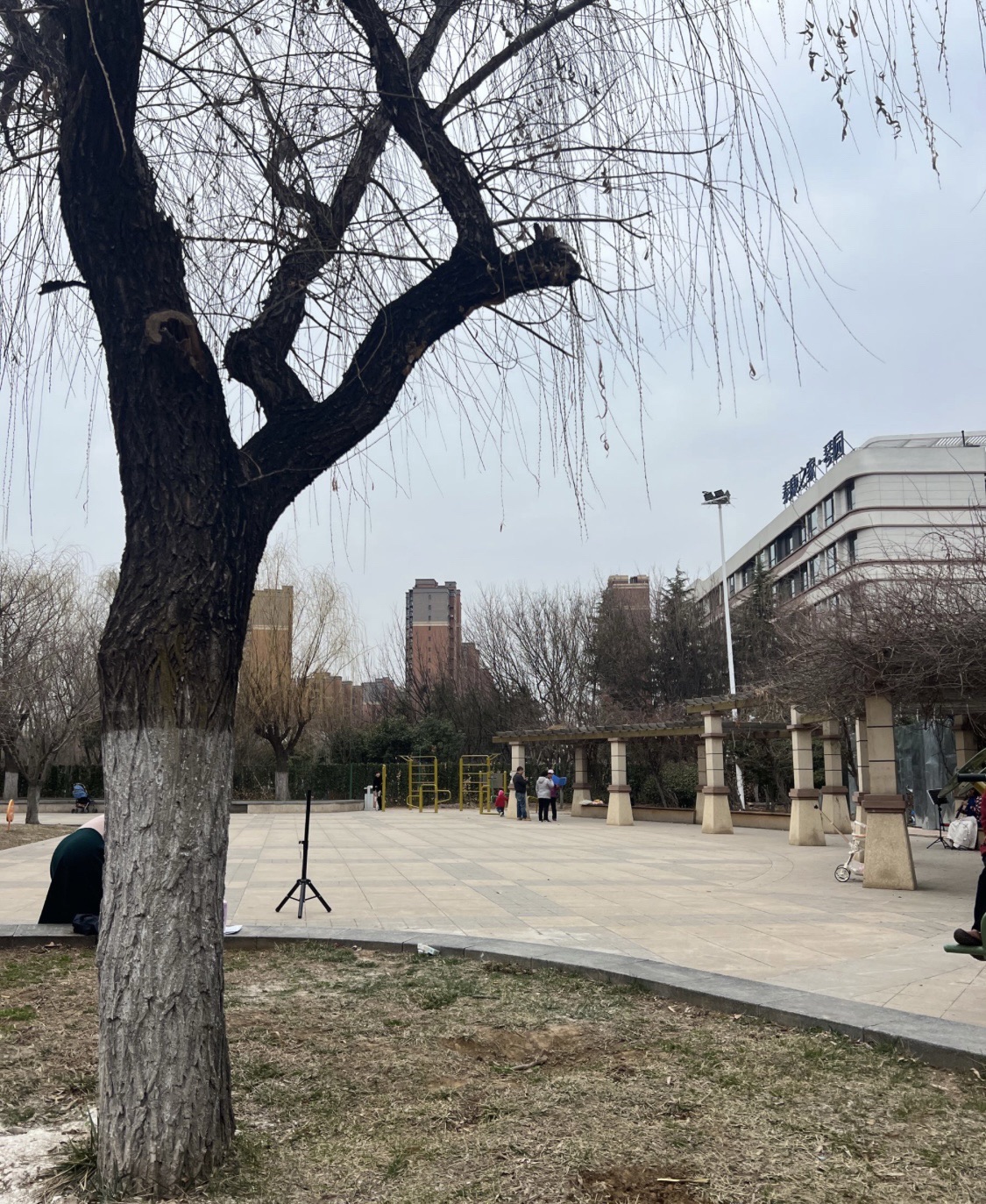 青特公园旅行图片 3