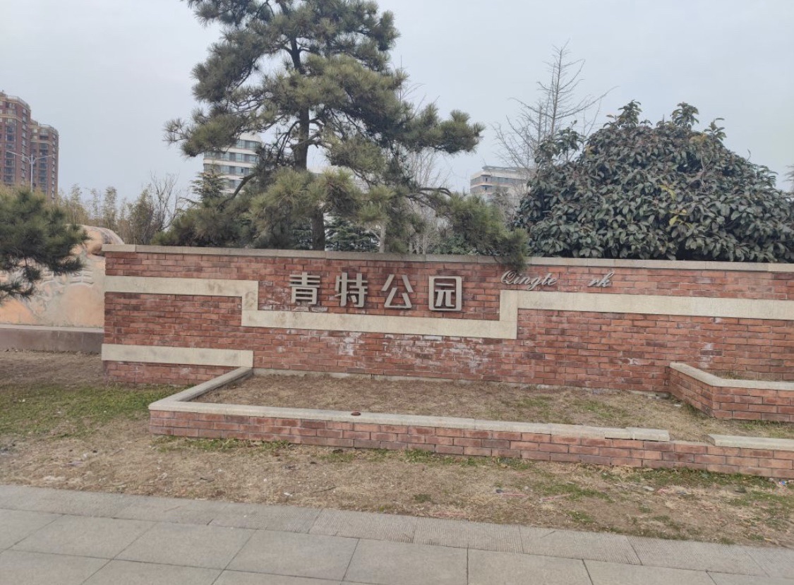 青特公园旅行图片 2