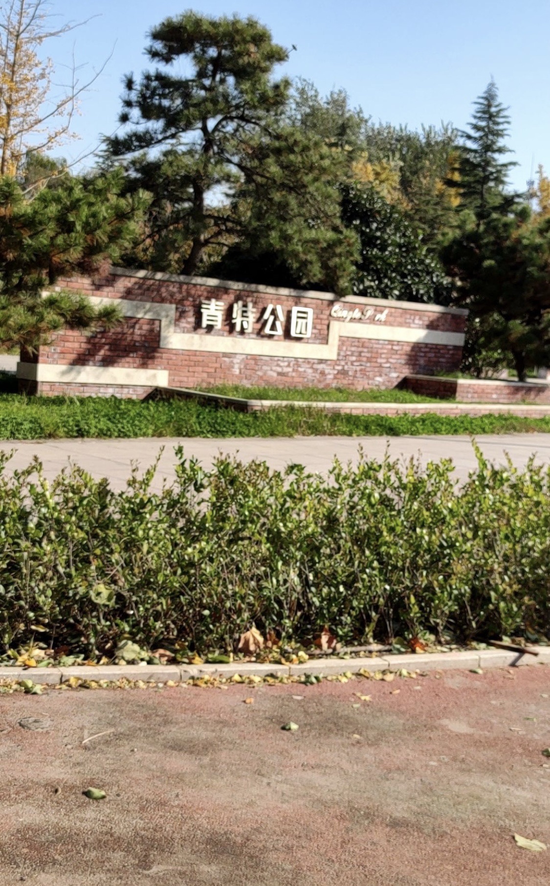 青特公园旅行图片 1