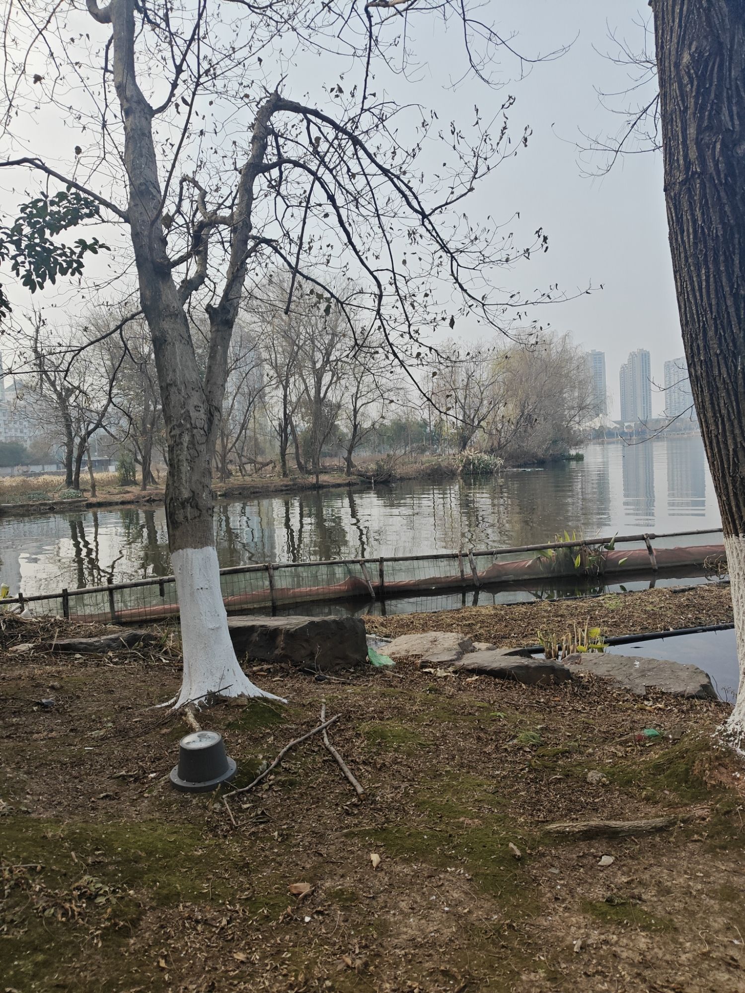 大滩公园旅行图片 2