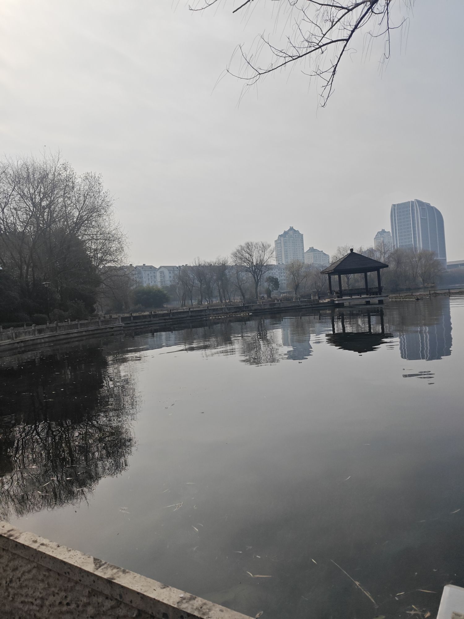大滩公园旅行图片 3