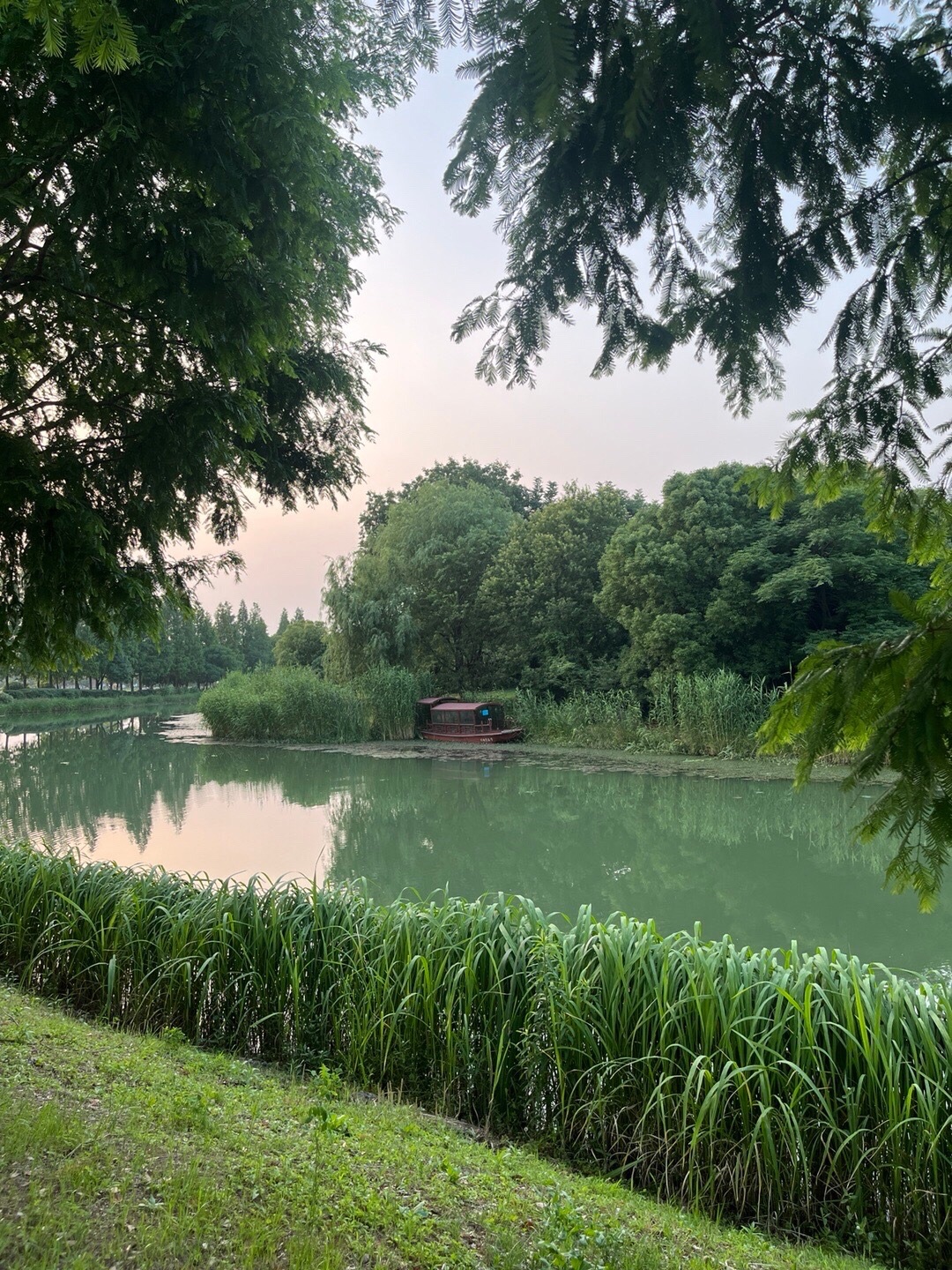 大滩公园旅行图片 2