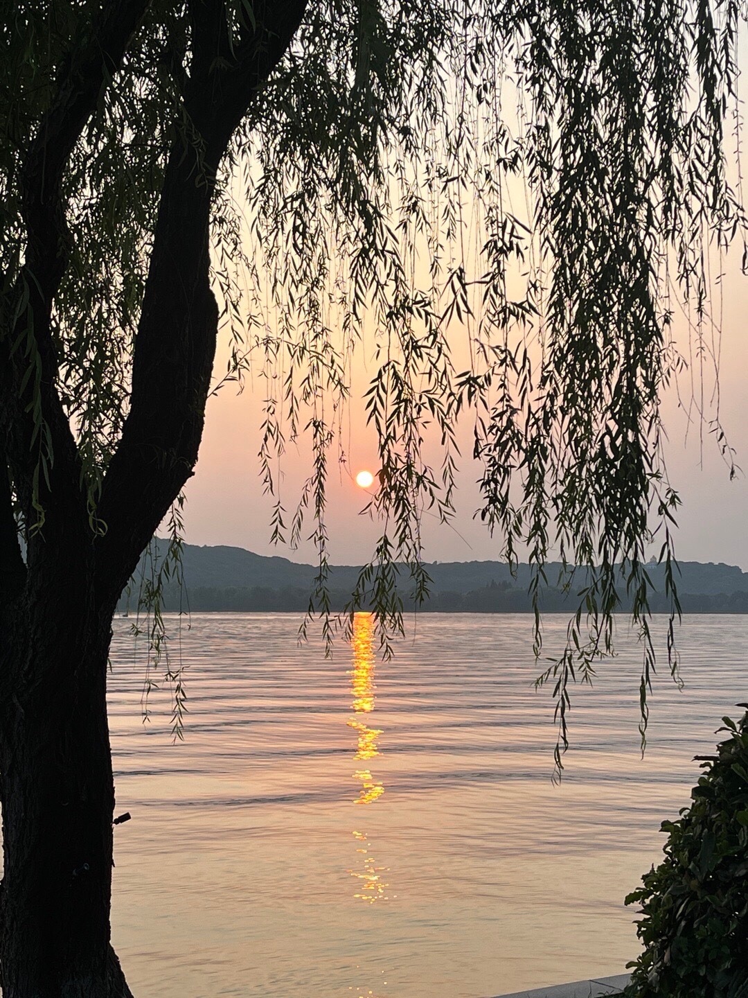 大滩公园旅行图片 3