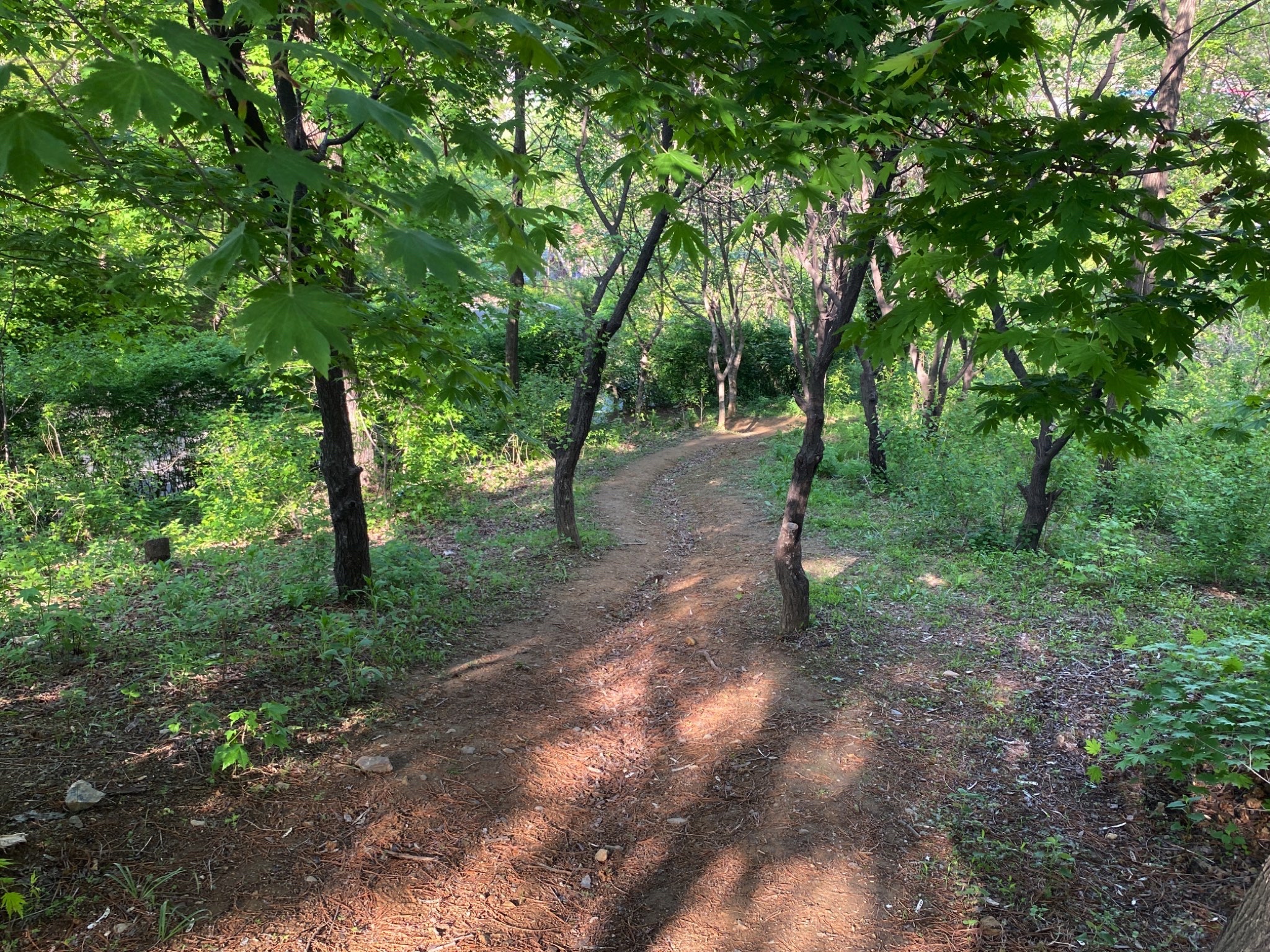 珍珠山公园旅行图片 3