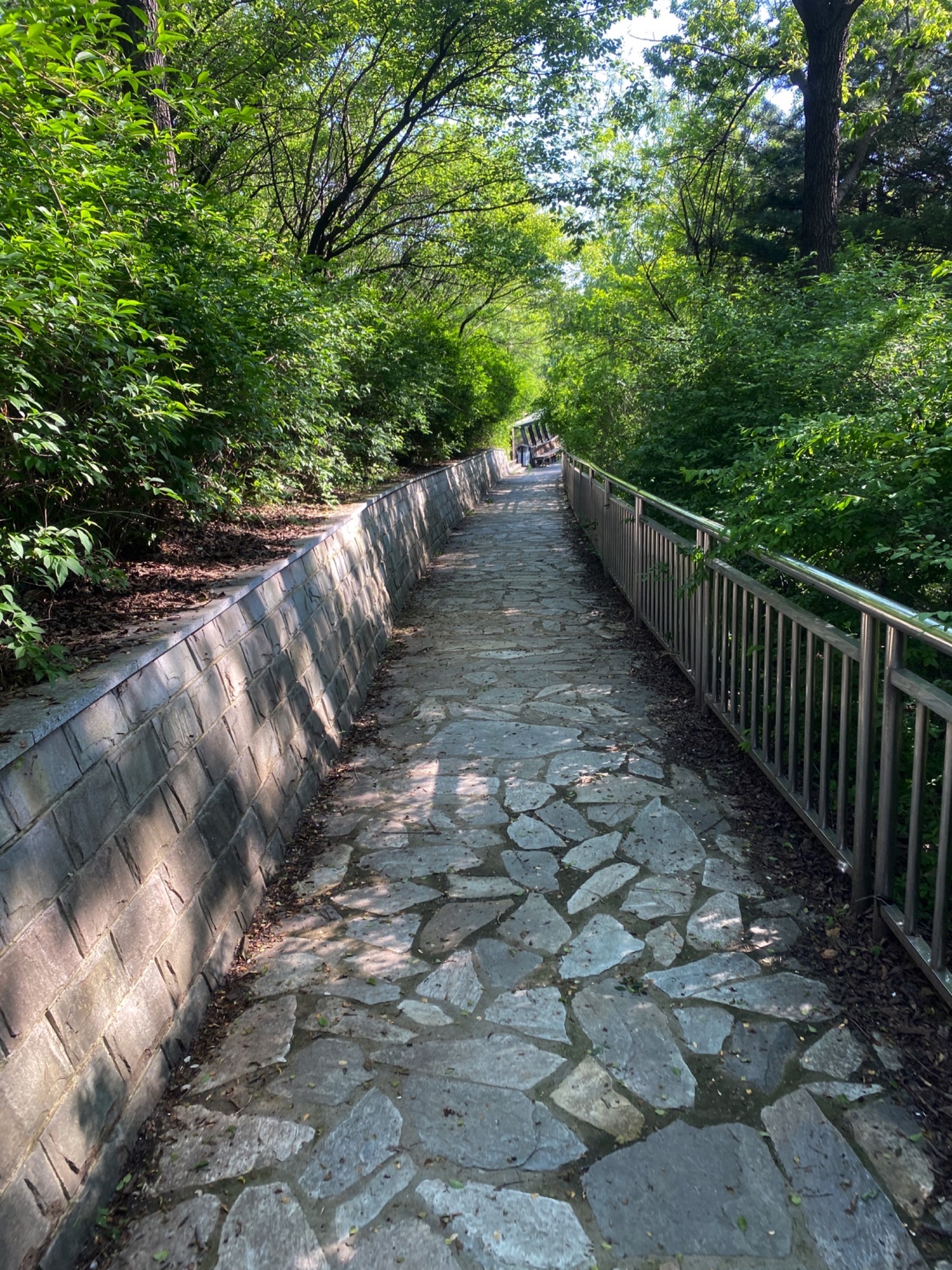 珍珠山公园旅行图片 2