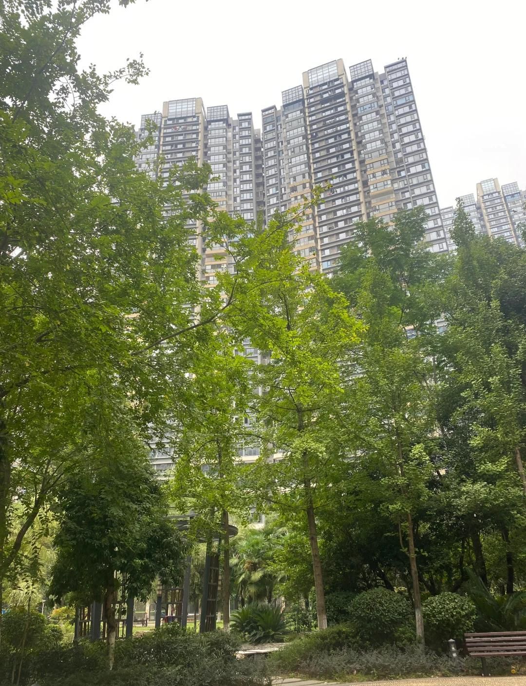 北辰三角洲奥城B1E1区