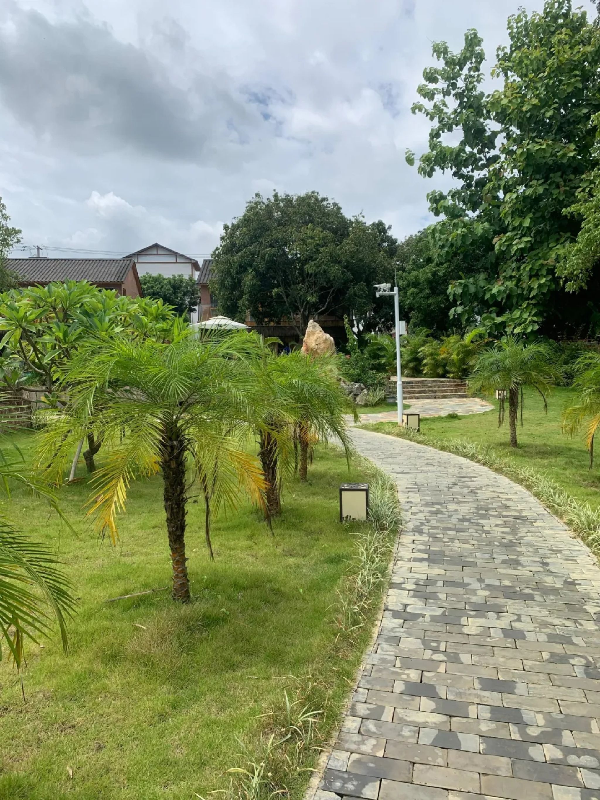 国际如意岛生态景区旅行图片 1