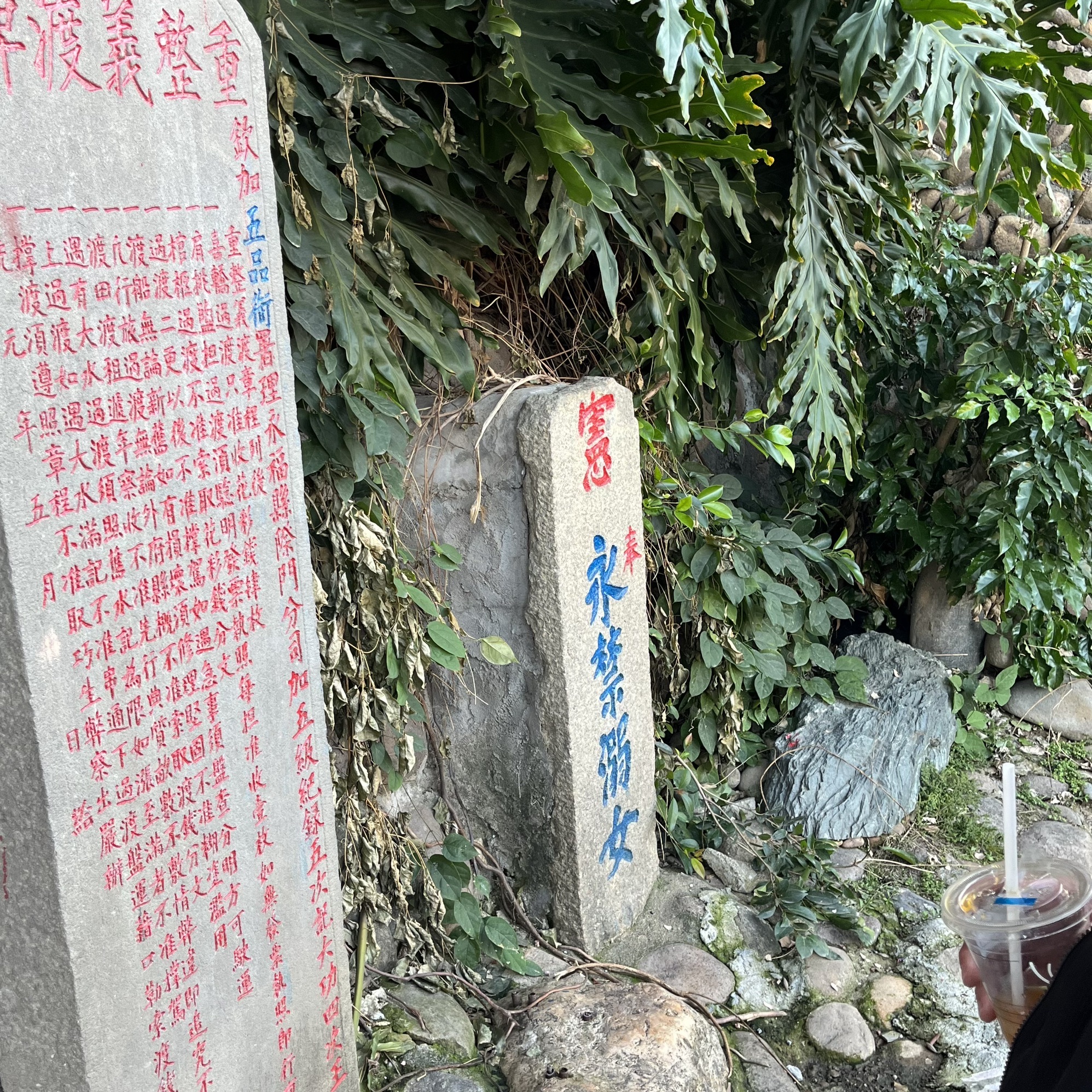 嵩口古镇旅行图片 2