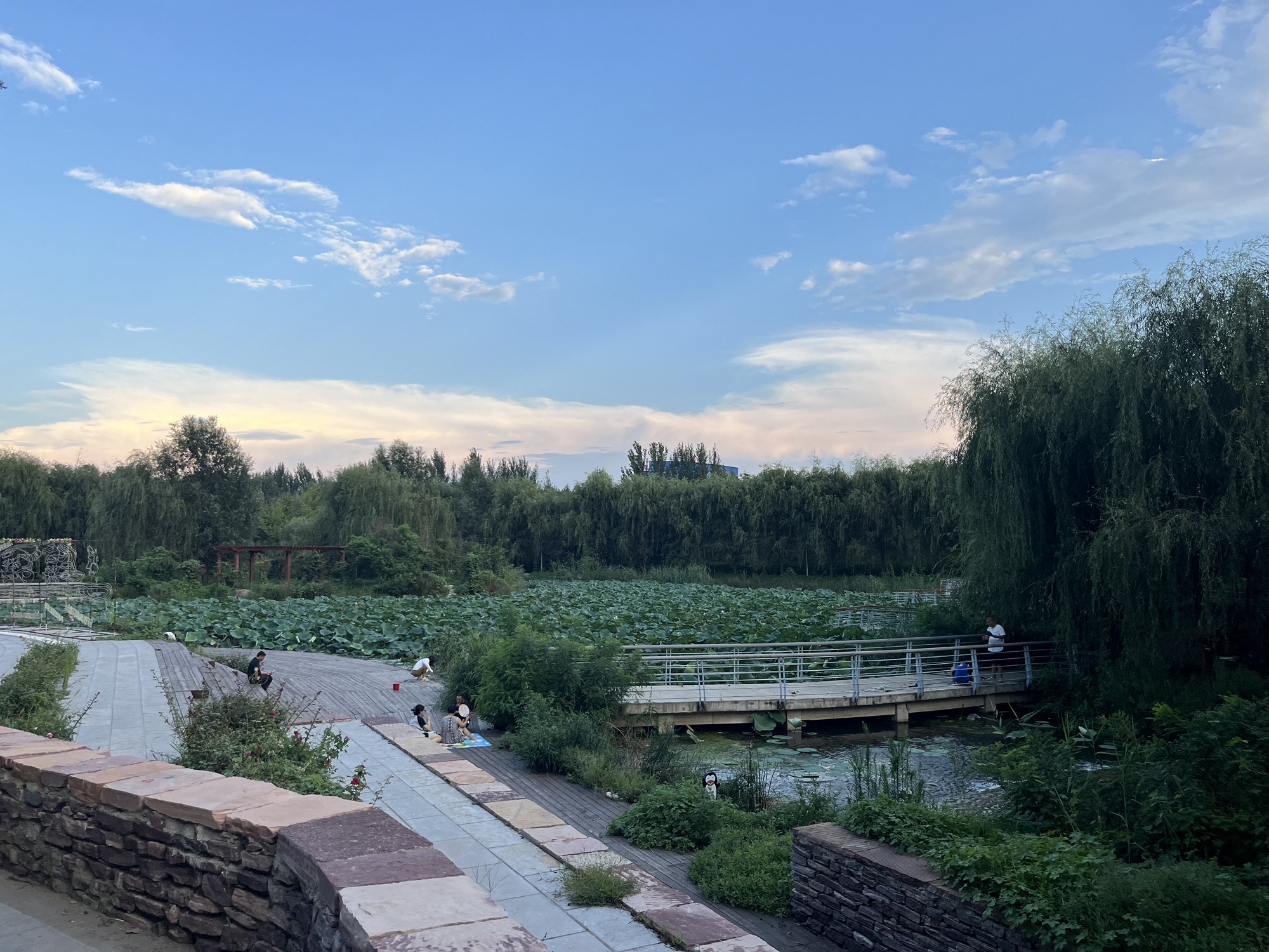 城南公园旅行图片 3